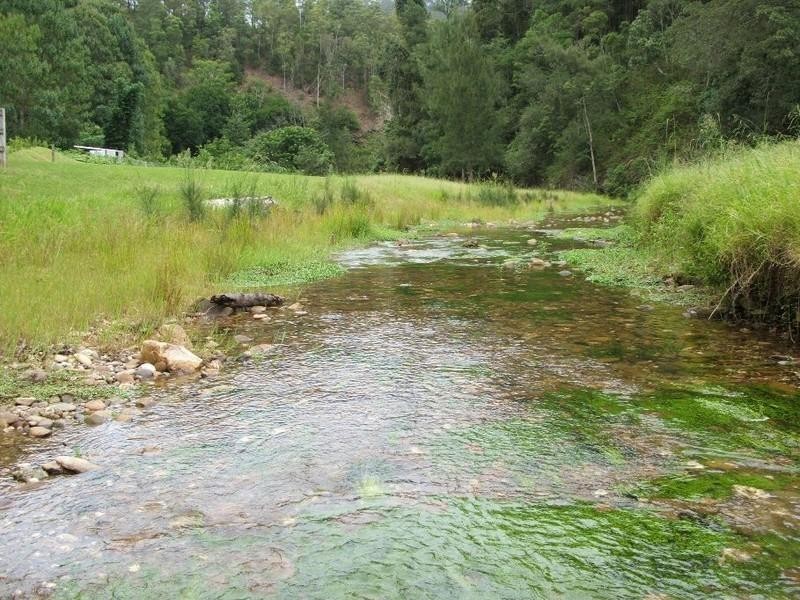 5174 Taylors Arm Road, Thumb Creek NSW 2447