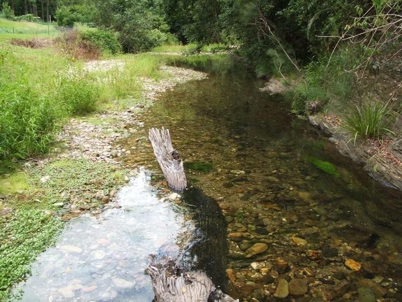 5174 Taylors Arm Road, Thumb Creek NSW 2447