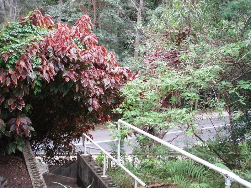 Nambucca Heads NSW 2448