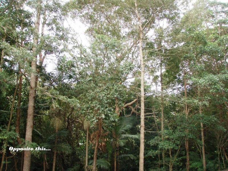 Nambucca Heads NSW 2448