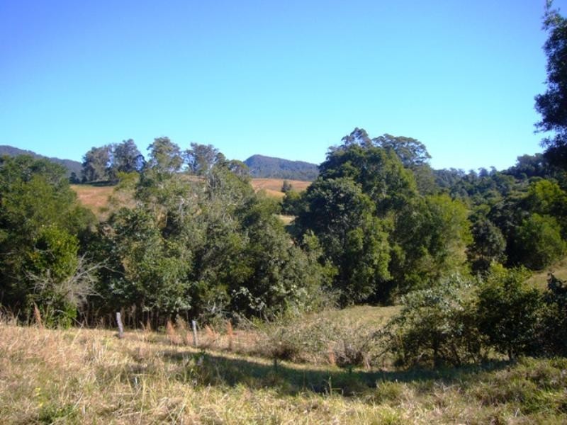 90 Apple Tree Glen, Burrapine NSW 2447