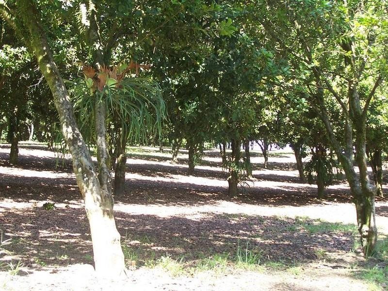 52 Broughams Road, Valla NSW 2448