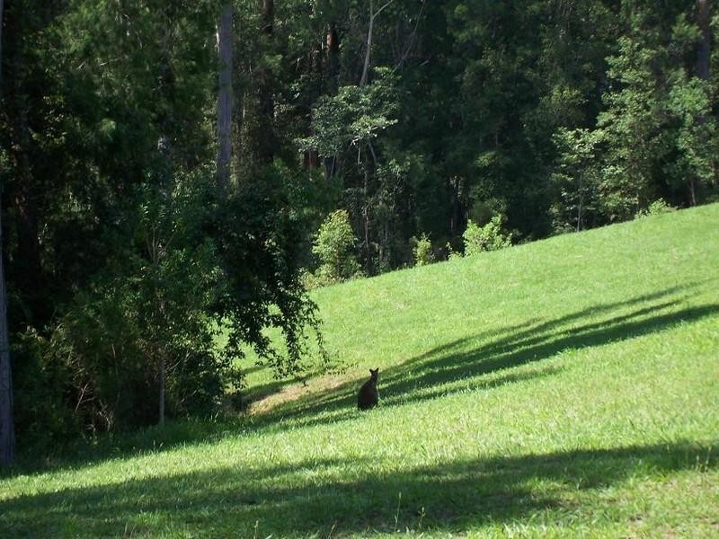 52 Broughams Road, Valla NSW 2448