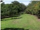 52 Broughams Road, Valla NSW 2448