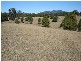 Lot 9 Lower Buckrabendinni Road, Bowraville NSW 2449