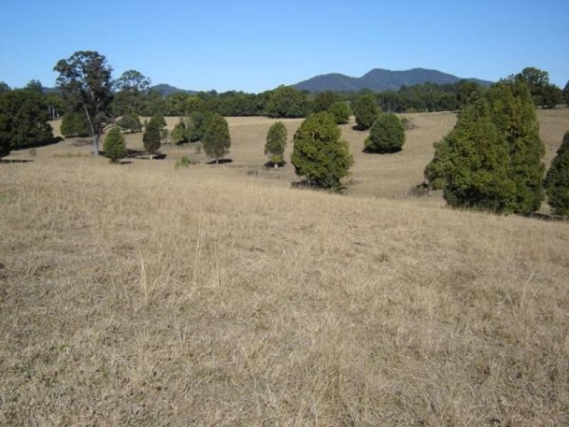 Lot 9 Lower Buckrabendinni Road, Bowraville NSW 2449