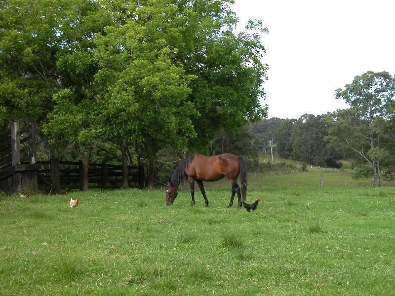 53 Burkes Lane, Valla NSW 2448