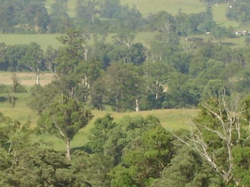 Lot 2 Simpsons Ridge Road, Bowraville NSW 2449