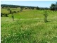 194 Talarm Road, Talarm NSW 2447
