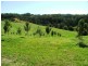 194 Talarm Road, Talarm NSW 2447