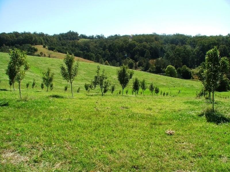 194 Talarm Road, Talarm NSW 2447