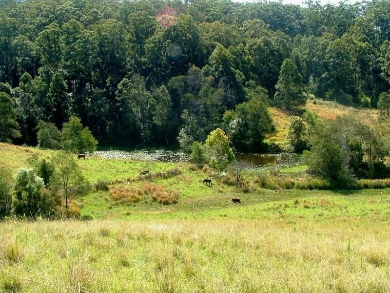 194 Talarm Road, Talarm NSW 2447