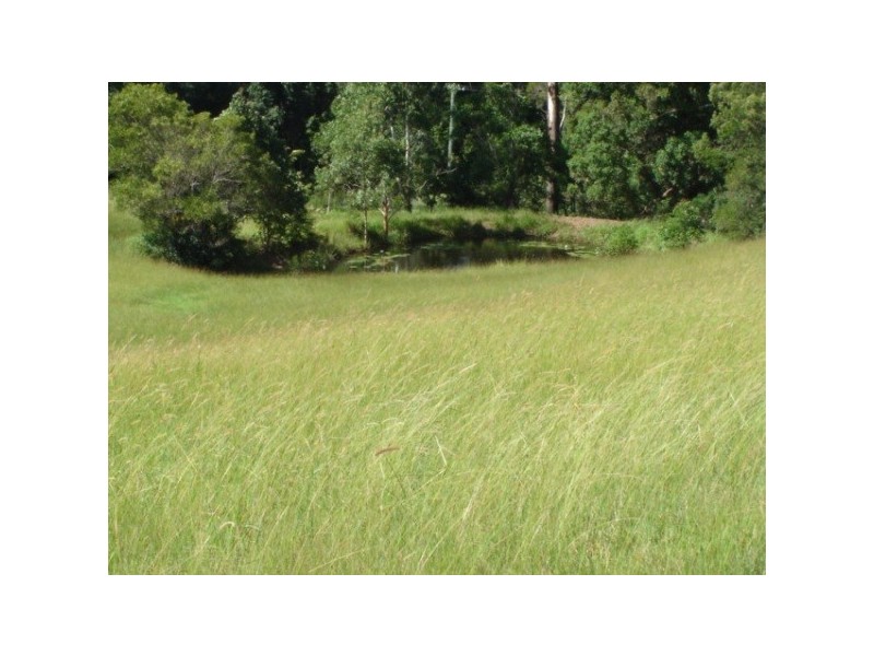 LOT 3 O’Dells Road, Warrell Creek NSW 2447