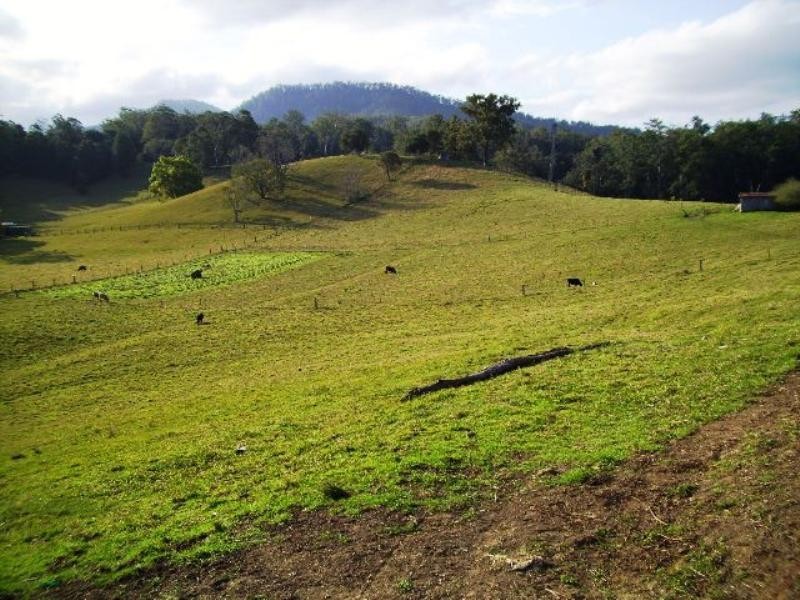 698 Missabotti Road, Missabotti NSW 2449