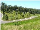 Lots 3-8 Irvines Road, Newee Creek NSW 2447
