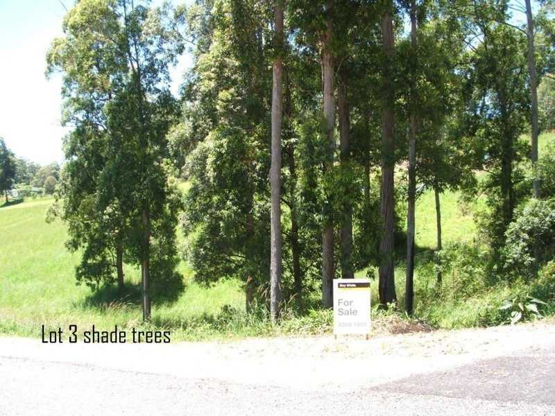Lots 3-8 Irvines Road, Newee Creek NSW 2447
