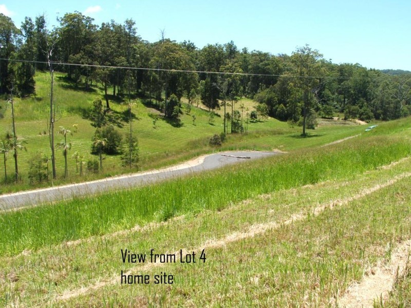 Lots 3-8 Irvines Road, Newee Creek NSW 2447