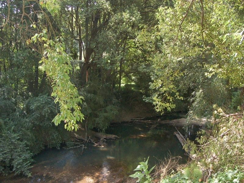 6 Belmore Street, Bowraville NSW 2449