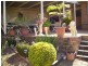 119 Palmer Street, Nambucca Heads NSW 2448