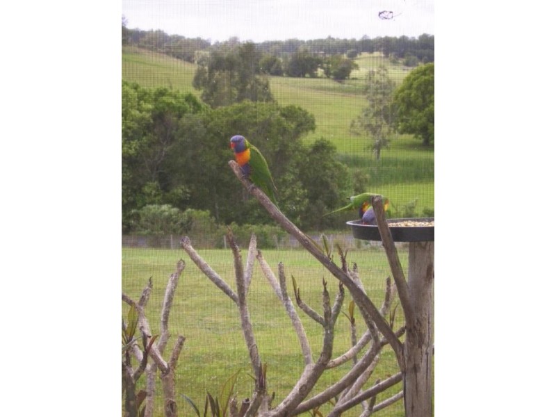 637 Stuarts Point Road, Yarrahapinni NSW 2441