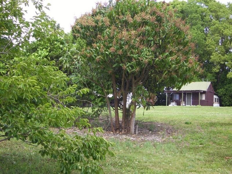 637 Stuarts Point Road, Yarrahapinni NSW 2441