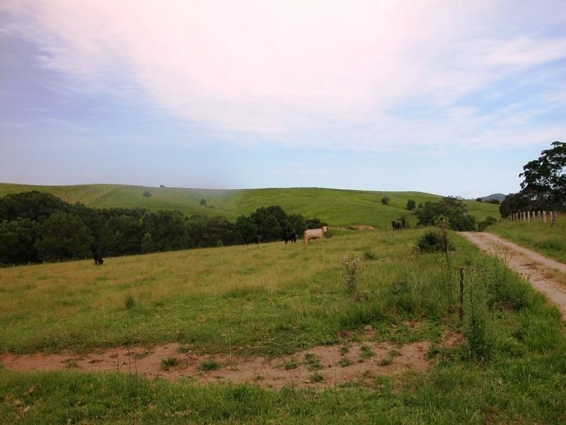 121 Whites Road, Yarranbella NSW 2447