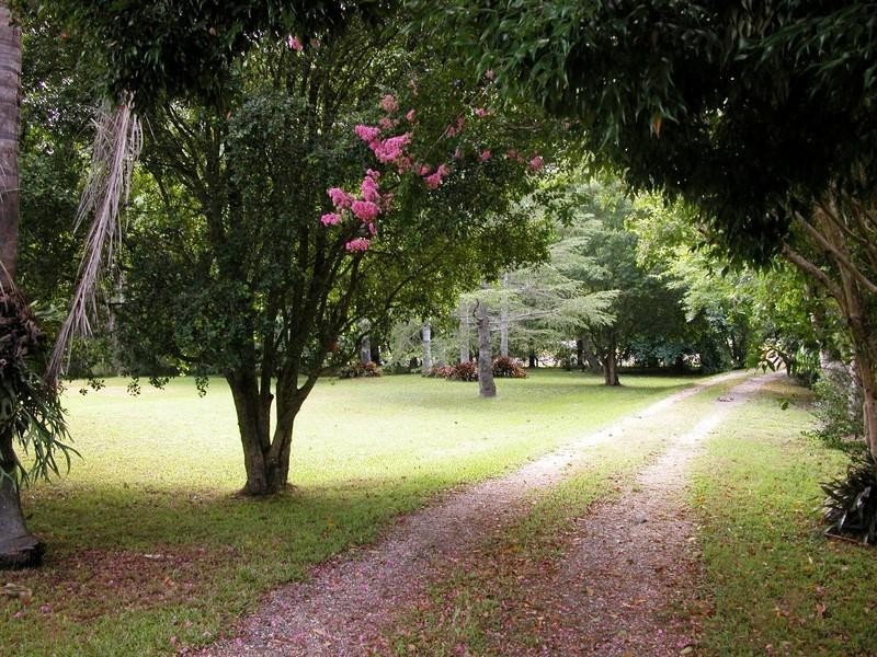 4263 Pacific Highway, Warrell Creek NSW 2447