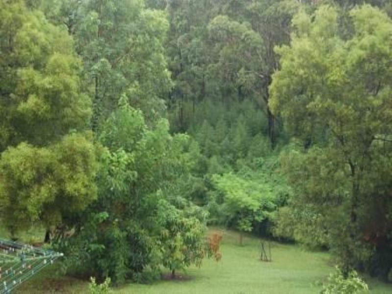 Nambucca Heads NSW 2448