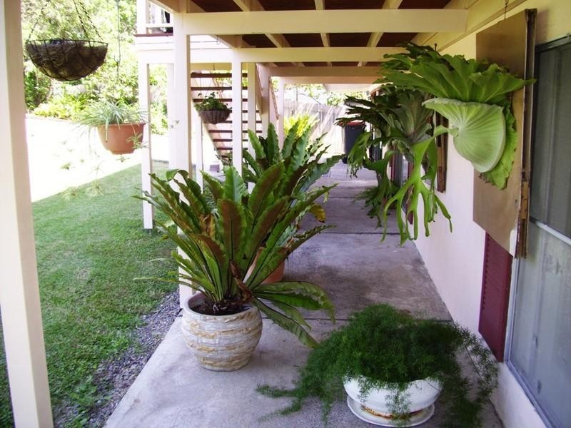 14 Wallace Street, Scotts Head NSW 2447