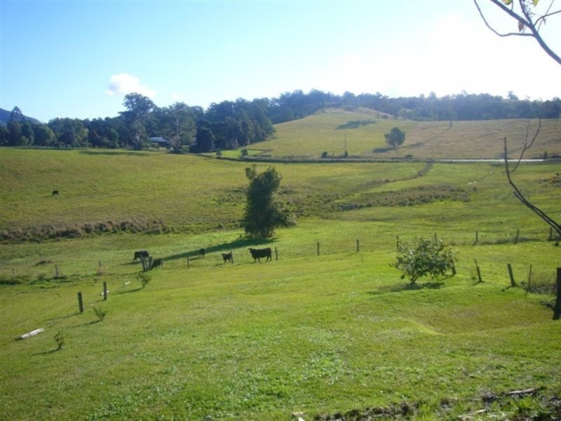 9 Greenhills Road, Upper Taylors Arm NSW 2447