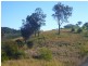 Lot 1 Peppertree Grove, Congarinni NSW 2447