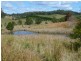 Lot 1 Peppertree Grove, Congarinni NSW 2447