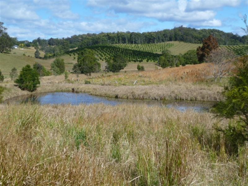 Lot 1 Peppertree Grove, Congarinni NSW 2447