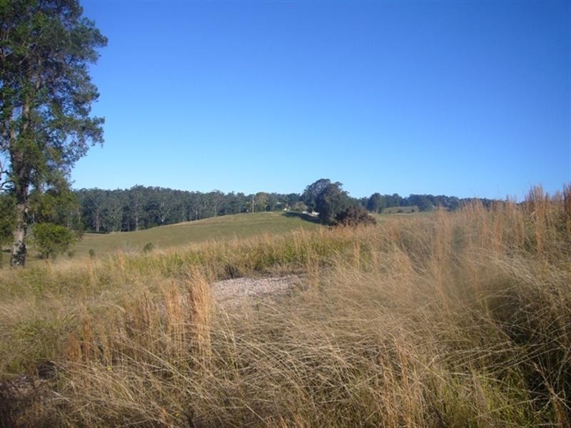 Lot 1 Peppertree Grove, Congarinni NSW 2447