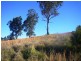 Lot 1 Peppertree Grove, Congarinni NSW 2447