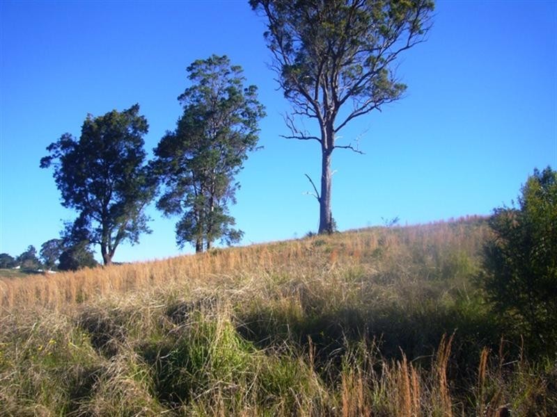 Lot 1 Peppertree Grove, Congarinni NSW 2447