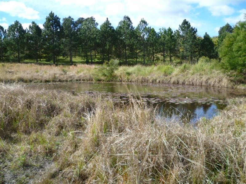 Lot 1 Peppertree Grove, Congarinni NSW 2447