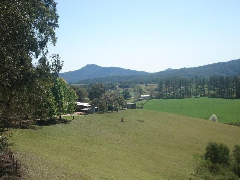 307 Bellingen Road, Bowraville NSW 2449