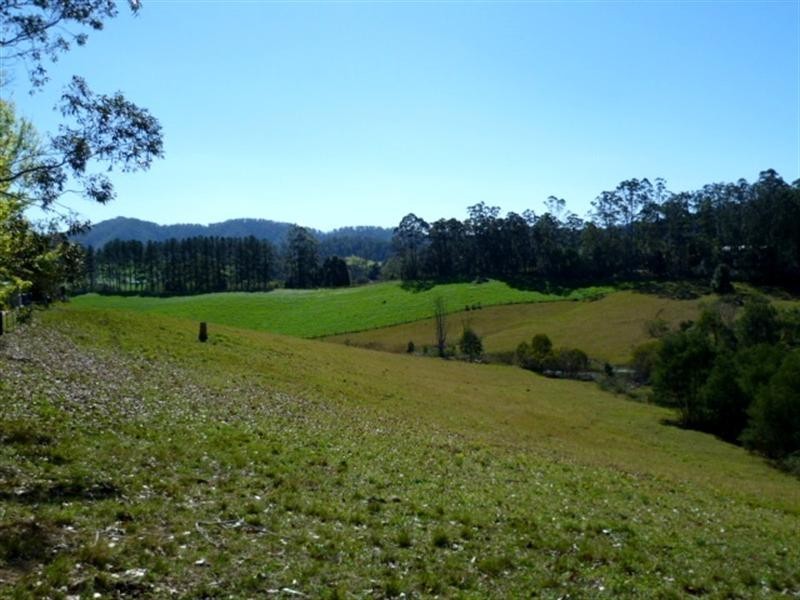 307 Bellingen Road, Bowraville NSW 2449