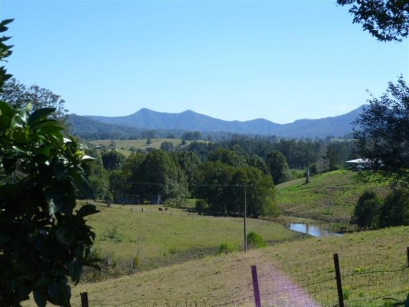 307 Bellingen Road, Bowraville NSW 2449
