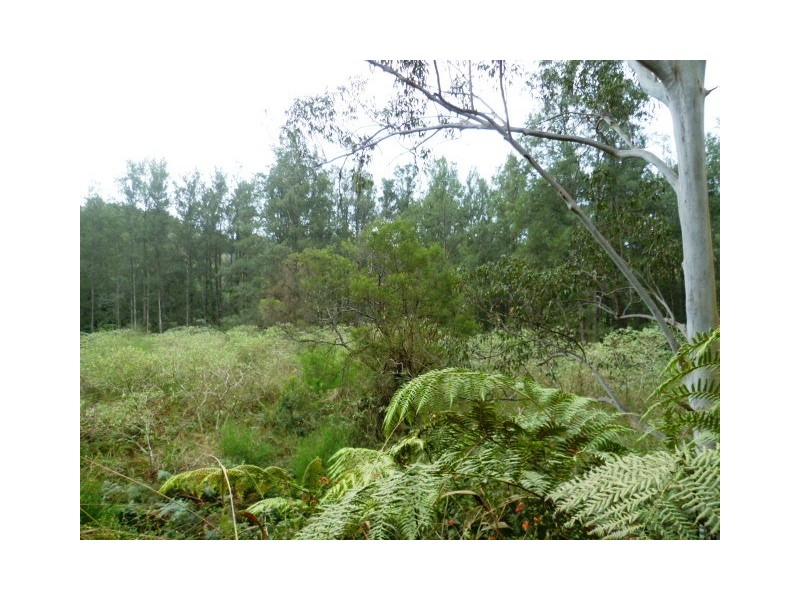 1200 Missabotti Road, Missabotti NSW 2449