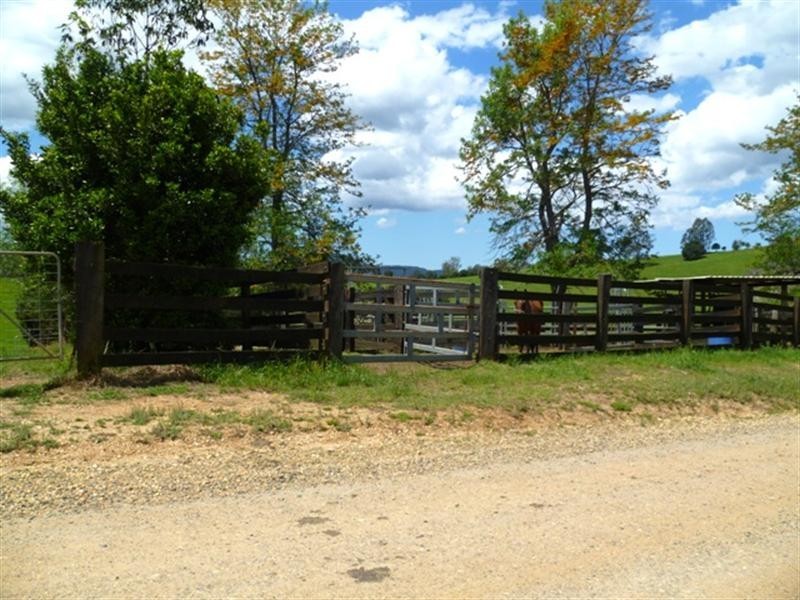 384 Graces Road, Argents Hill NSW 2449