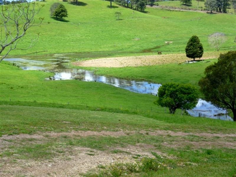 384 Graces Road, Argents Hill NSW 2449