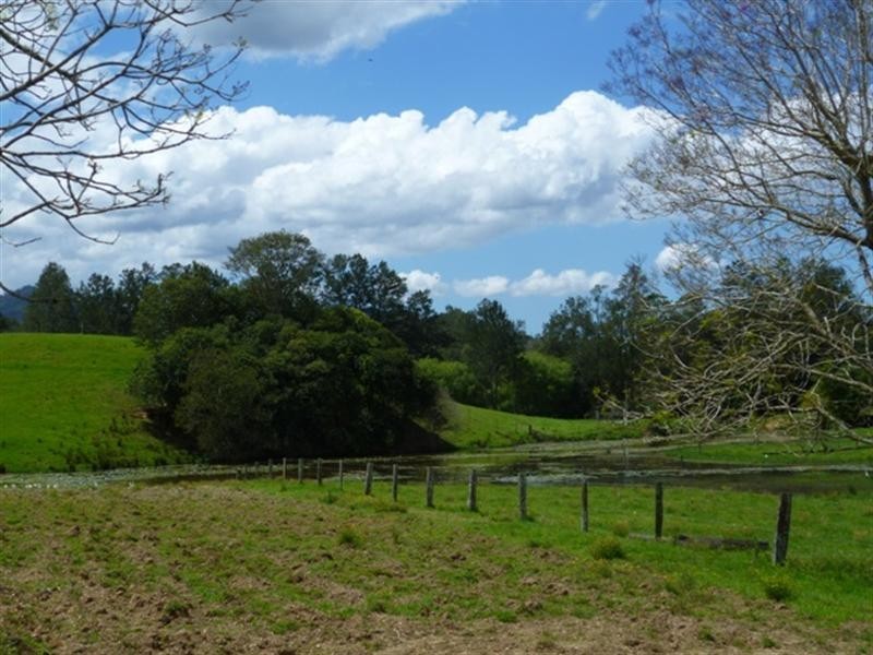 384 Graces Road, Argents Hill NSW 2449