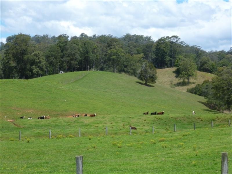 384 Graces Road, Argents Hill NSW 2449