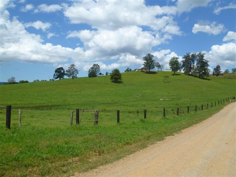 384 Graces Road, Argents Hill NSW 2449