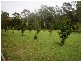 58 Lot 32 Allgomera, Eungai Creek NSW 2441