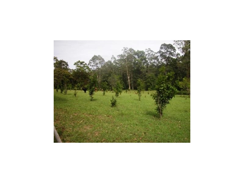 58 Lot 32 Allgomera, Eungai Creek NSW 2441
