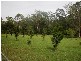 58 Lot 32 Allgomera, Eungai Creek NSW 2441