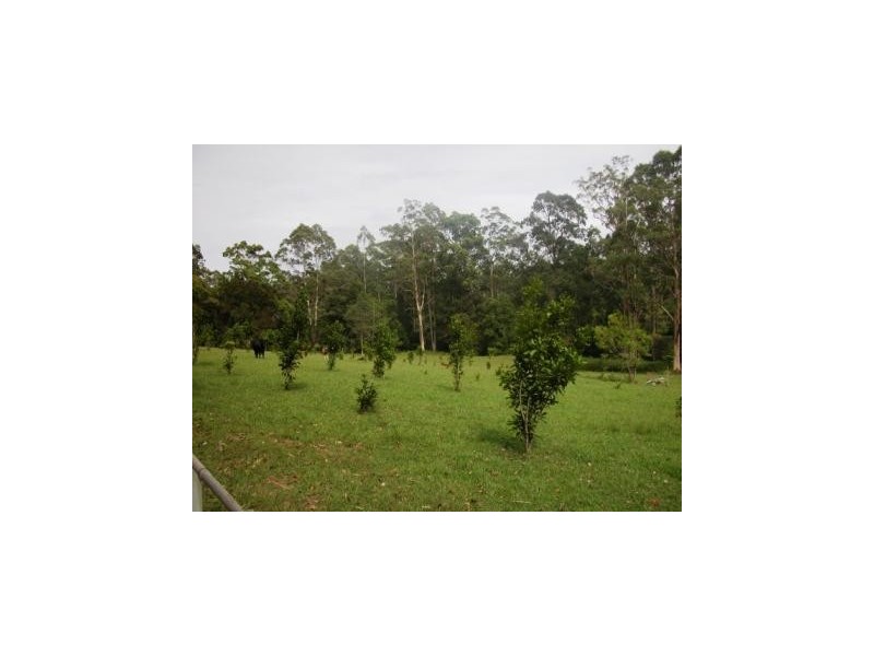 58 Lot 32 Allgomera, Eungai Creek NSW 2441